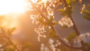 Horóscopo semanal: Comienza la Primavera y el mes de Libra, tiempo de finales