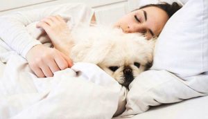 Mujeres duermen mejor con su perro que con su pareja, indica un estudio