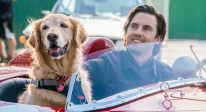 CONCURSO CERRRADO: Entradas para "Mi amigo Enzo" en #Dedicados