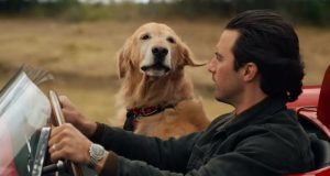 Ganadores de la avant premiere de "Mi amigo Enzo"