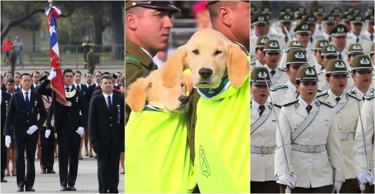 Parada Militar 2019: Debut de la PDI, más mujeres y perritos fue lo más comentado en redes
