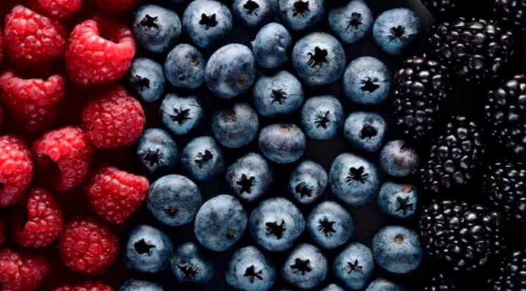Los beneficios que los berries aportan a nuestra salud