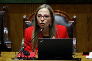 Isabel Plá niega haber recibido denuncias contra militares o carabineros