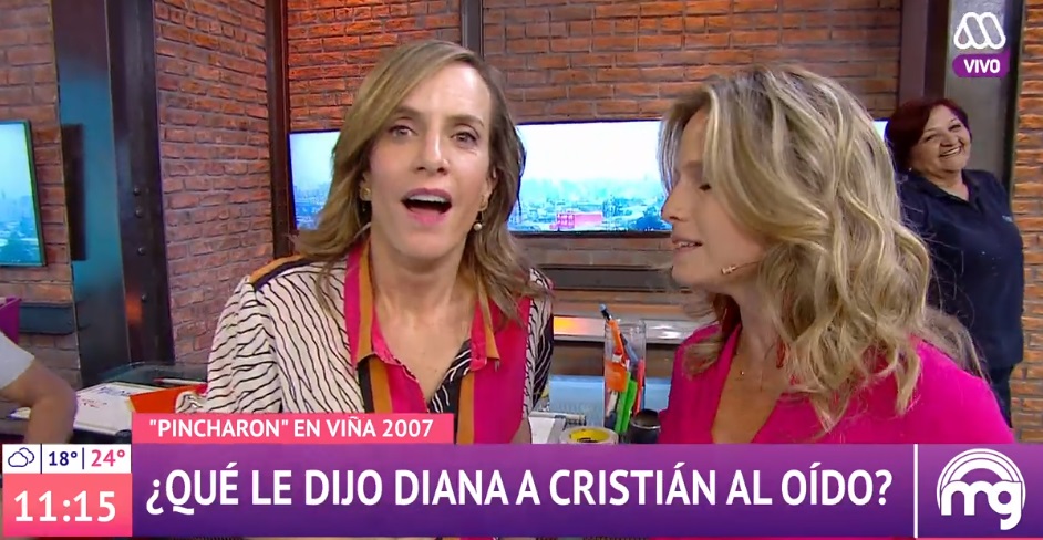 las confesiones de festival de viña en mucho gusto