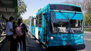 Estas municipalidades implementaron buses gratuitos para esta jornada