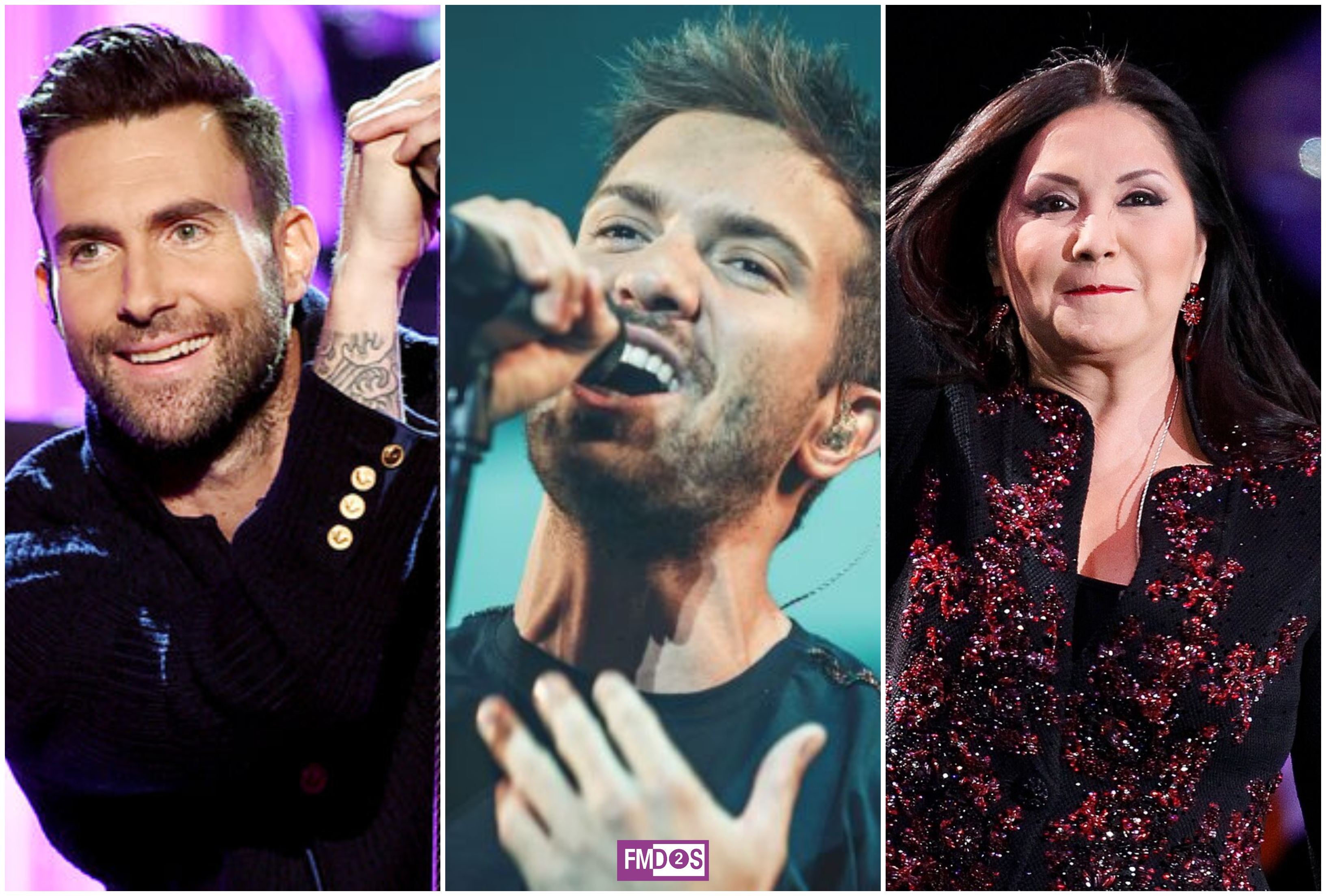 Las peticiones de los artistas para su estadía en este Festival de Viña 2020