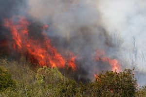 Se mantiene Alerta Roja por incendios en Valparaíso