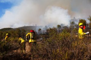 Incendios: confirman que van 2.500 hectáreas afectadas