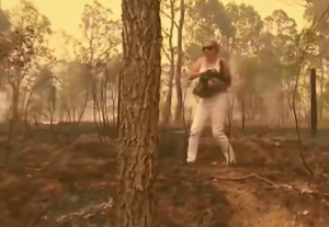 Mujer se arriesgó para rescatar a un koala en medio de los incendios forestales en Australia