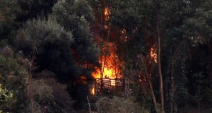 Incendio Forestal afecta la ladera del Cerro San Cristóbal