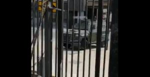 Estudiantes UC denuncian burlesco actuar de Carabineros con zorrillo en San Joaquín