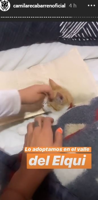 Camila Recabarren mostró el 'container' donde vivirá