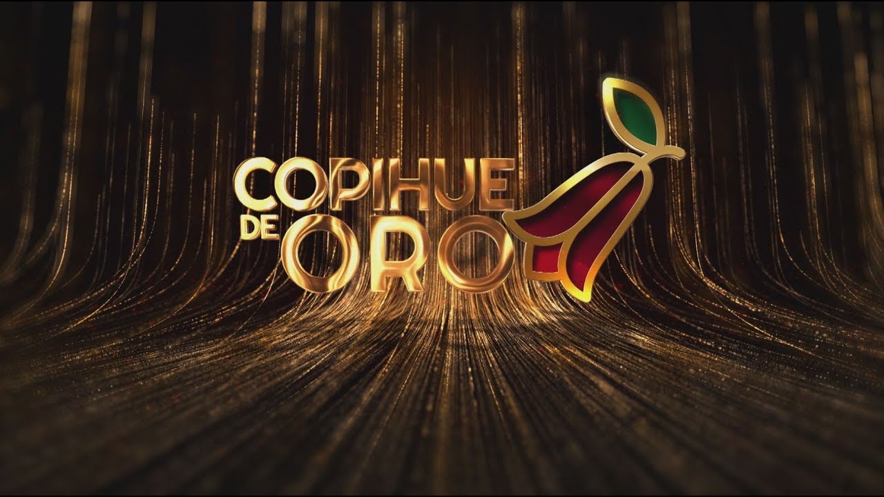 Copihue de Oro 2019: Premiación se pospone hasta el próximo año