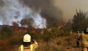 Onemi decreta Alerta Roja en Valparaíso por incendio cerca de Lago Peñuelas