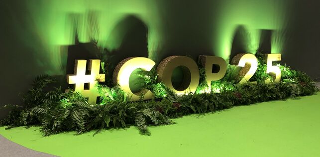 Dibujos de niños chilenos llegan a la COP 25 en Madrid