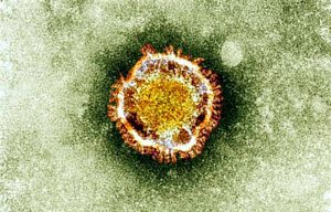 Coronavirus: ¿Por qué causa tanta alerta el virus que se propaga en Asia?