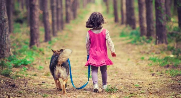 Niña dejó "manual de instrucciones" para cuidar a su perro y se hizo viral