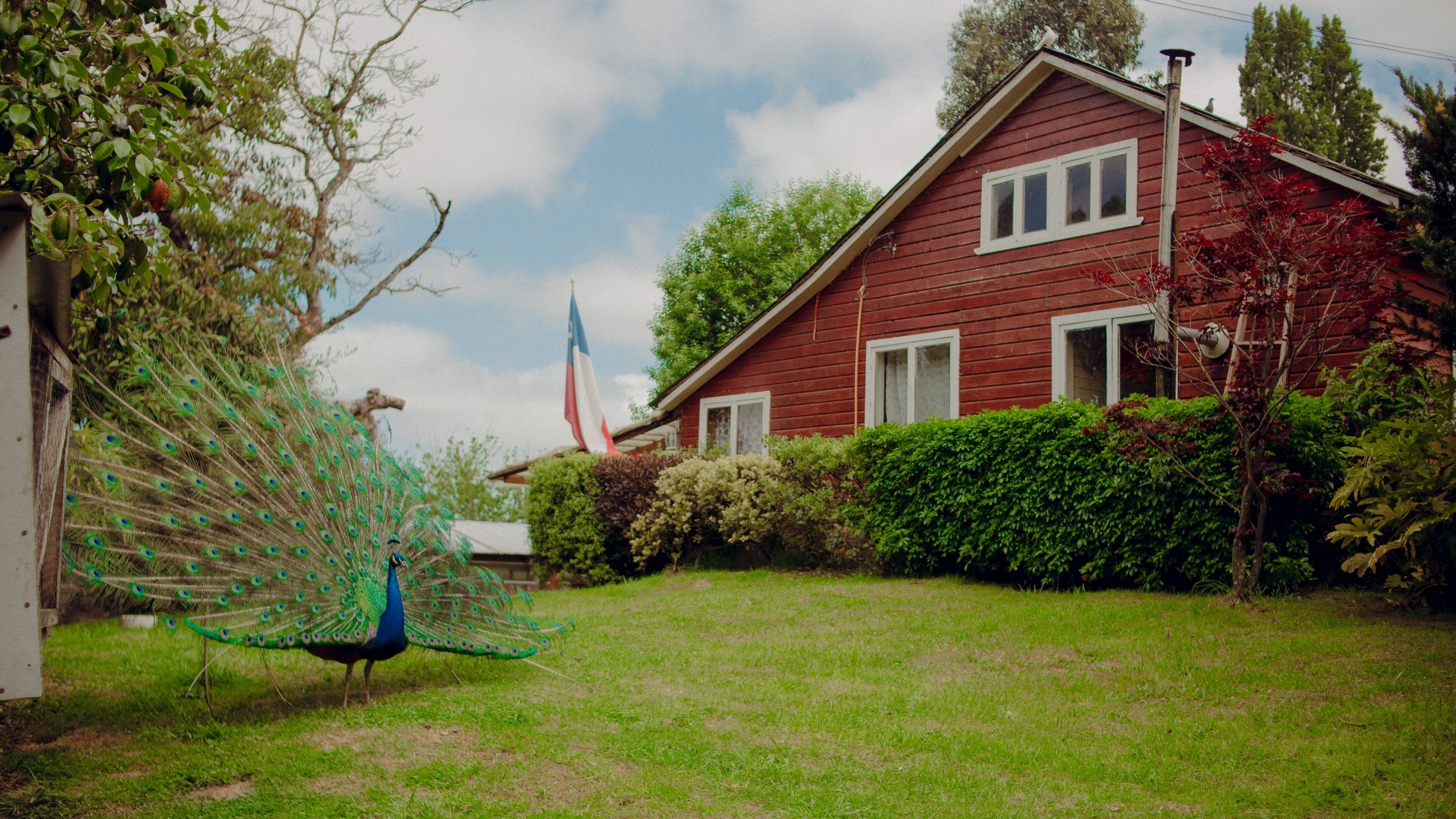 vecino rifa su propiedad