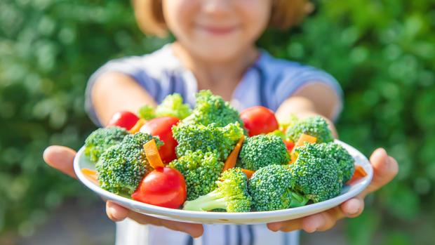 Dieta vegetariana en niños: Recomendaciones de los expertos