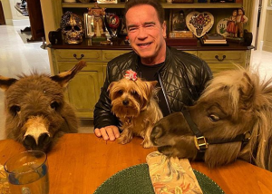 Arnold Schwarzenegger pasa la cuarentena con sus dos exóticas mascotas