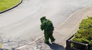 ¿No era un arbusto? Escapó de la cuarentena rodeado de hojas y se hizo viral