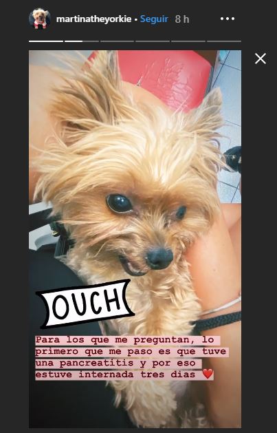 kel contó qué le sucedió a su perrita 