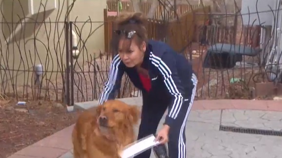 sunny ayuda a la vecina con el supermercado