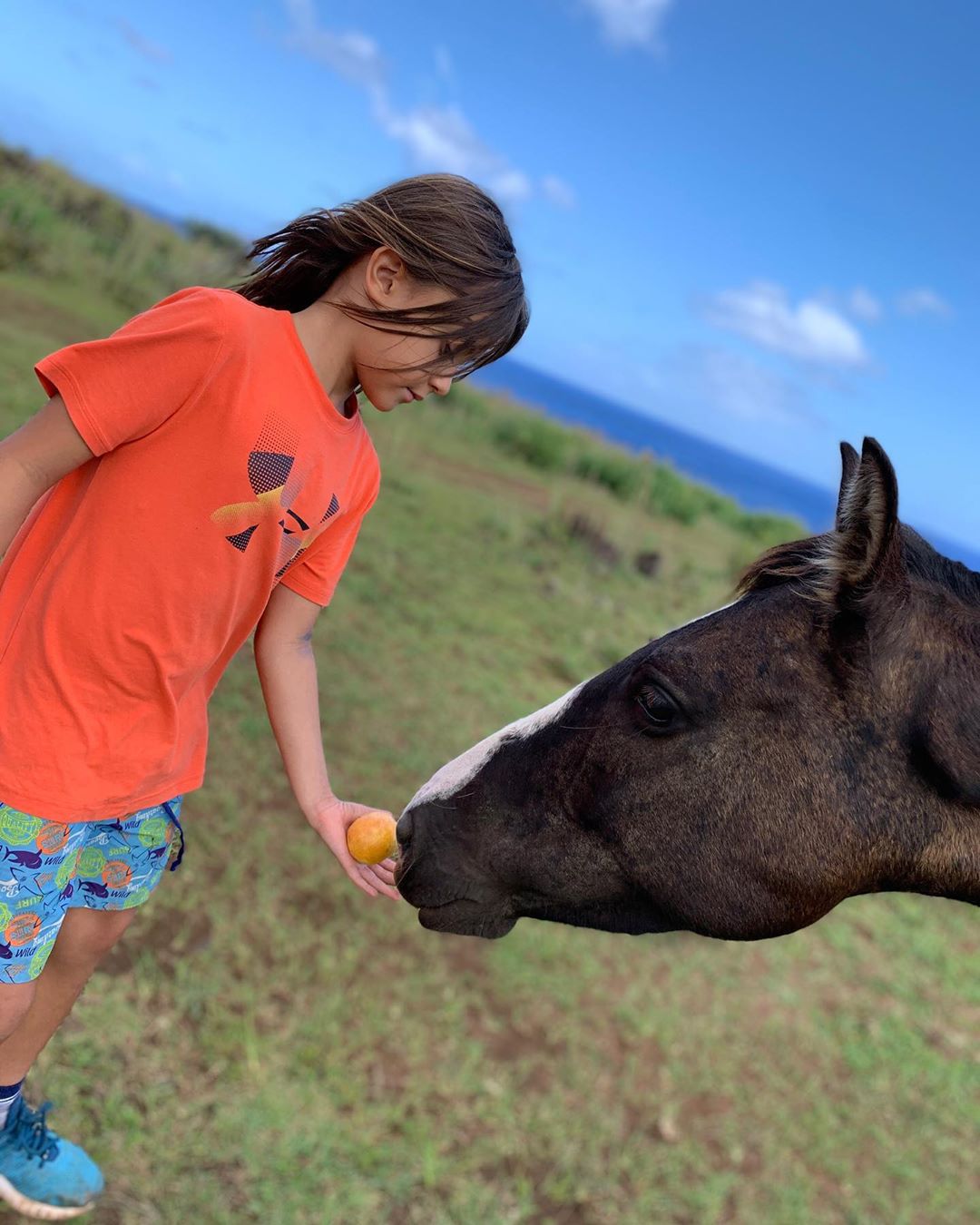 el hijo de fran ayala y hotuiti