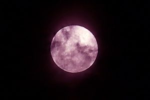 Revisa las mejores postales que dejó la Súper Luna rosa en Chile y el mundo
