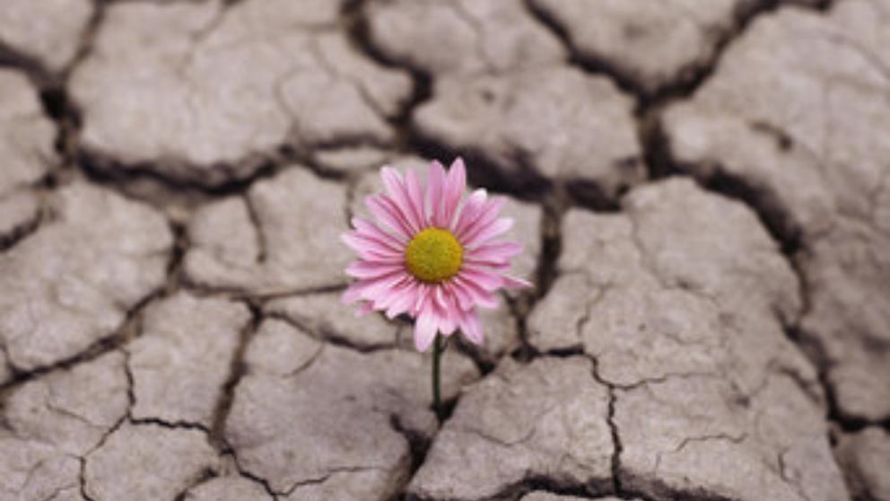 5 maneras de aumentar tu resiliencia en tiempos de pandemia