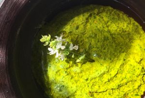 Nueva receta para hacer en casa: Elvira Cristi nos enseña a preparar pesto
