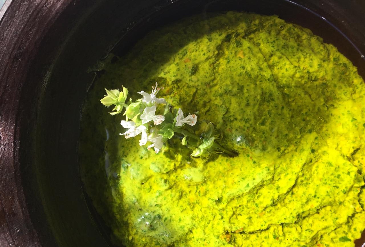 Nueva receta para hacer en casa: Elvira Cristi nos enseña a preparar pesto
