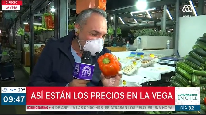 jara y reflexiónd esde la vega