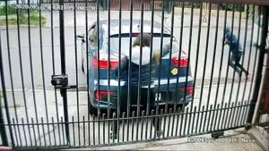 Video: Funcionaria de PDI frustró a tiros portonazo en su contra en Maipú