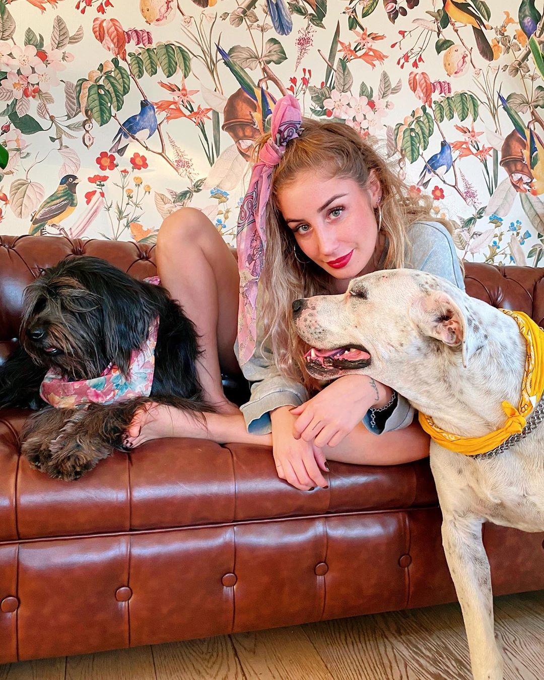 daniela castro presenta a su nuevo perrito, Guapo