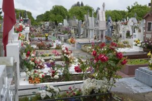 Cementerios estarán cerrados el 31 de octubre y 1 de noviembre