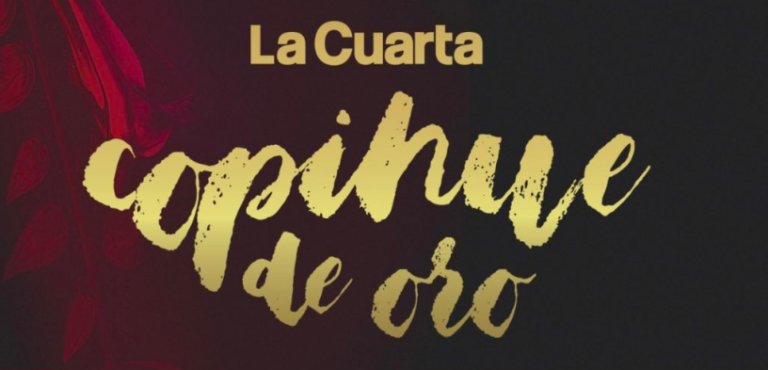 Copihue de Oro: estos son los ganadores de la edición 2019
