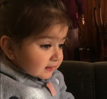 La tierna advertencia de una niña por su perro que se volvió viral