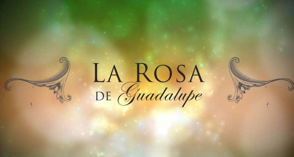 Reconocido actor que integró "La rosa de Guadalupe" falleció por Covid-19