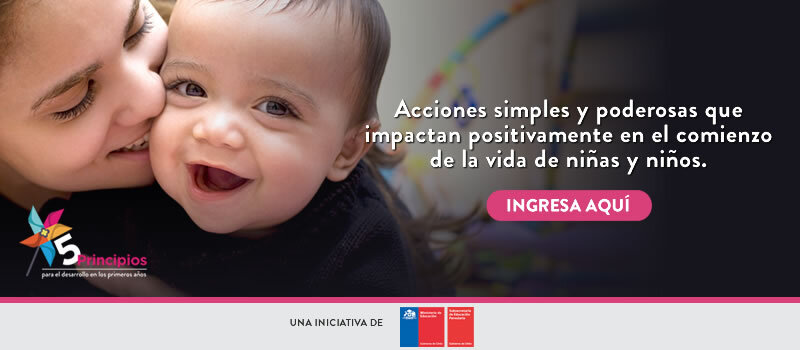 Conoce los 5 principios que mejorarán las trayectorias de vida de los niños