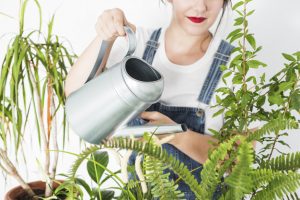 ¿Eres un@? 7 de cada 10 millenials se consideran 'padres de plantas'