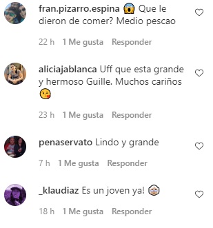 comentarios sobre el hijo de juan pedro y karen paola