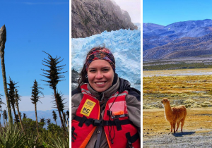 6 parques nacionales en Chile que deberías visitar cuando retomemos los viajes