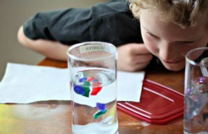 ¿Experimentos científicos caseros? No te pierdas estas cuentas