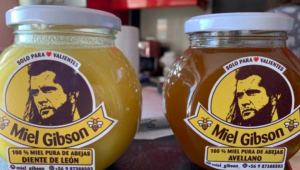 "Miel Gibson": Emprendimiento solo tendrá que cambiar de logo