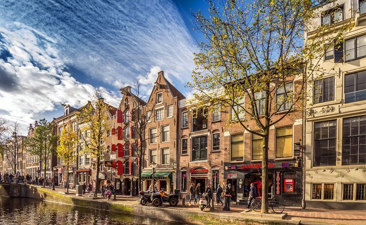 Universidad de Holanda hace clases al aire libre para disminuir tiempo en pantallas