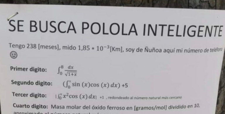 La historia del joven autor del cartel "busco polola inteligente": "Me hablaron 300 mujeres"