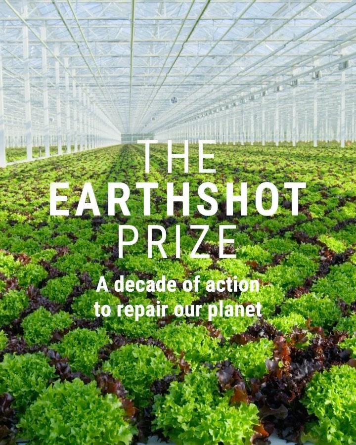 Shakira Premio Earthshot