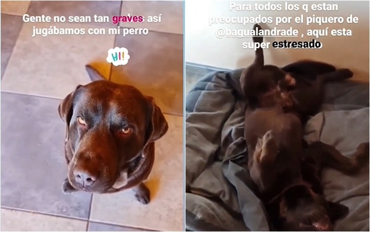 pangal andrade y su perro bagual