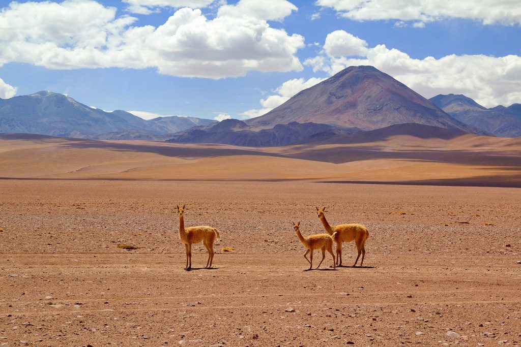 world travel awards desierto de atacama chile